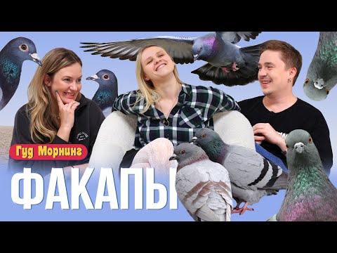 ФАКАПЫ: ШАКУЛИН | КОТЕЛЬНИКОВА | ГРИШЕЧКИНА