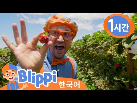 블리피와 농장 체험 - 건강하게 먹는 법 배우기 외 3편 | 어린이 과학 교육 | 블리피 한국어 | 어린이 교육 동영상