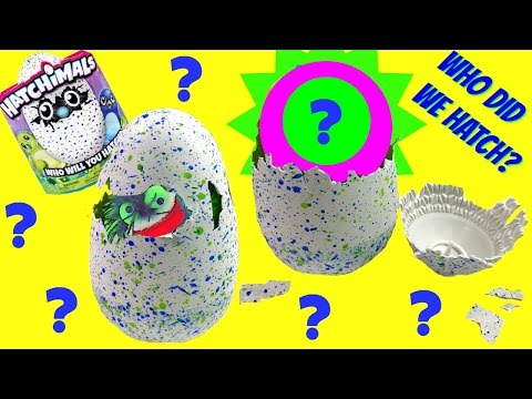 Hatchimals - Our Egg Hatched!