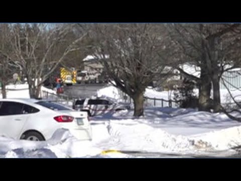 Branford fire kills several animals