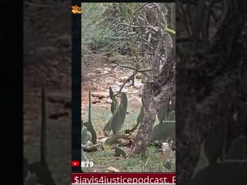 Was Nancy Guthrie LAST SEEN on January 31??? What is Going On? #nancyguthrie