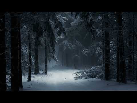 Дорогою в Вечность - LDA (КЛИП 2025 /LYRICK/RUSSIAN/MALE VOICES