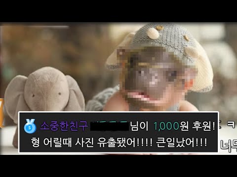 창조신이 대충만든 새끼동물 월드컵