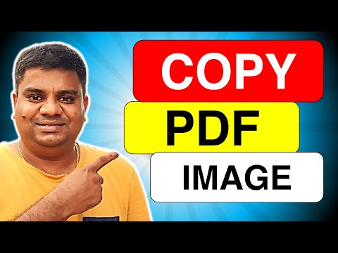 How to Copy PDF Image to Word Document