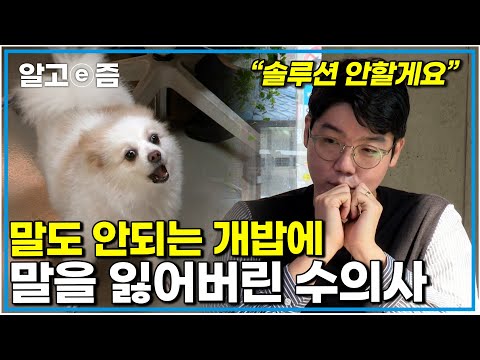 "정말 혼내고 싶지만.." 왜곡된 사랑앞에 할말을 잃어버린 설채현 쌤 마음아파 눈물 쏟는 보호자｜세상에 나쁜 개는 없다｜알고e즘