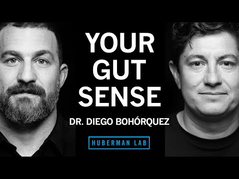 The Science of Your Gut Sense & the Gut-Brain Axis | Dr. Diego Bohórquez
