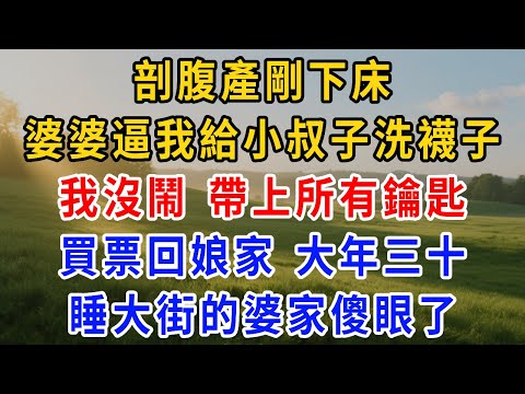 剖腹產剛下床，婆婆逼我給小叔子洗襪子：“吃我們家的飯就得幹活！”我沒鬧，帶上所有鑰匙，買票回娘家！大年三十婆家睡大街，傻眼了