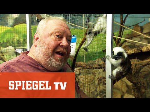 Der Supermarkt der Tiere (1/2) | SPIEGEL TV
