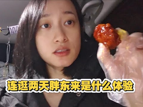 床车旅行九个月到许昌连逛两天胖东来，最火大月饼、韩式炸鸡测评，买齐口粮继续赶路回南方