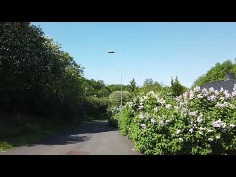 What learning strategy to use as a self taught dev?