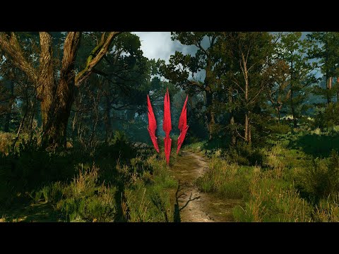 The Witcher 3 - Woods of Velen - Calm and Peaceful Ambience & Music