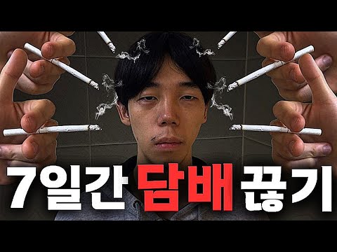 7일 동안 담배 꼴초가 금연하면 어떻게 될까?