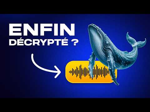 Des chercheurs en IA s’apprêtent à décoder la communication animale