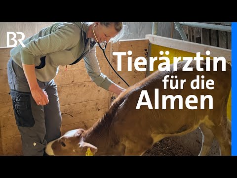 Einsatz auf der Alpe: Bergtierärztin Birke Steinbach | Almen im Allgäu | Schwaben + Altbayern | BR