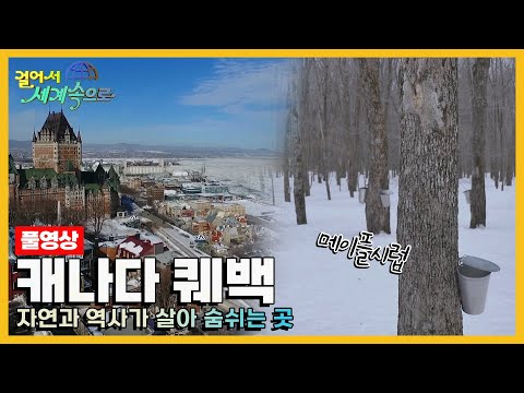 [걸어서세계속으로Full📺] 프랑스어를 공용어로 쓰는 북미 속의 또 다른 프랑스 '캐나다 퀘백' Trip to Canada (KBS 20170408)