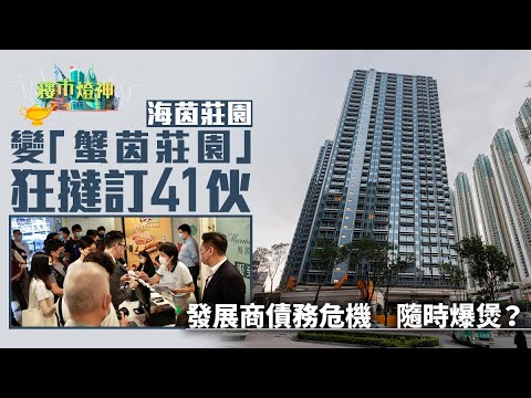 海茵莊園變「蟹茵莊園」狂撻訂41伙　發展商債務危機隨時爆｜01樓市燈神｜新盤｜撻訂｜海茵莊園｜蟹茵莊園｜地產｜發展商｜債務危機｜九建｜開放式｜納米樓｜西餅客｜蝕讓｜負債比率｜英皇｜佳明