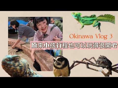 沖繩家族旅遊完結篇~大人也可以玩得開心的DMM水族館