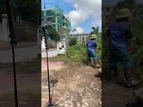 Clean up sidewalks Free