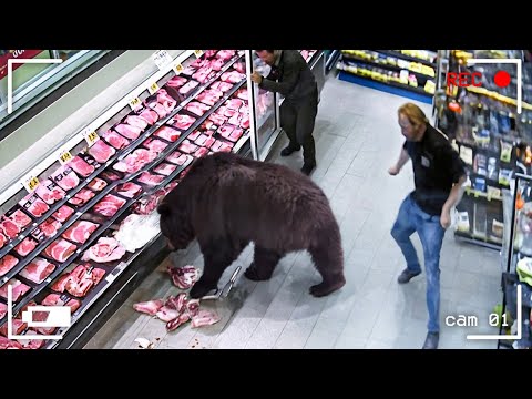 115 MOMENTOS INCRÍVEIS GRAVADOS PELAS CÂMERAS DE VIGILÂNCIA