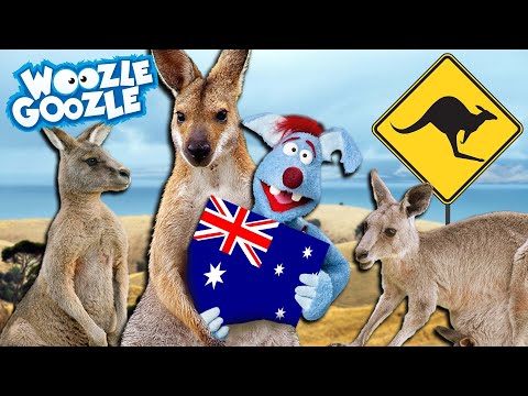 Warum leben Kängurus nur in Australien? l WOOZLE GOOZLE