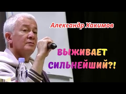Как привлечь успех и счастье в свою жизнь? Александр Хакимов.