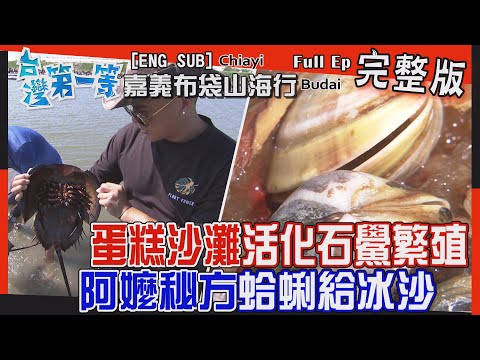 [全新] Chiayi【"蛋糕沙灘" 尋四王一鱟 / 阿嬤秘方"蛤蜊給冰沙"清涼又消暑 / 滿滿好料讓你大吃"一斤" /  全台首座3D彩繪村變臉7次 】 │2022.07.10│《台灣第一等》完整版