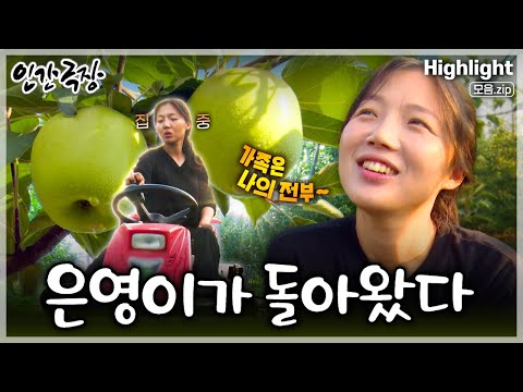 [인간극장★] 삼남매 억척 엄마가 돌아가시고 부모님의 사과 농사를 함께하는 '억척 맏딸'의 힘찬 일상🍏💪🍎 ‘은영이가 돌아왔다’ | KBS 방송