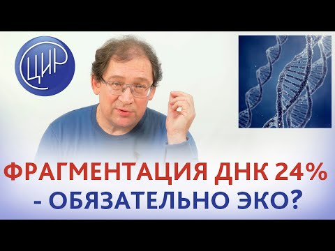 Фрагментация ДНК сперматозоидов 24% - надо ли делать ЭКО? Отвечает Гузов И.И.
