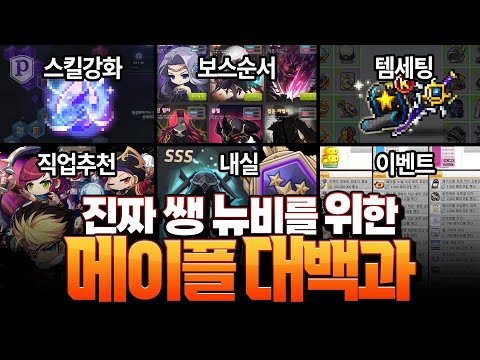 「뉴비&복귀 유저 필수 시청」영상 하나로 끝내는 메이플스토리