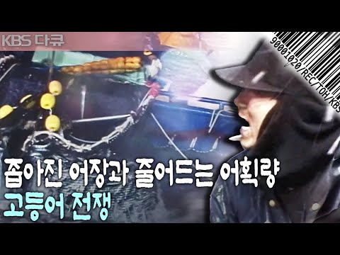 [현장기록⏮️그때] 바다 위 어부들의 살벌한 전쟁! 한일어업 협정 이후 그때! 파도와 싸우며 고등어 잡이를 하는 바다 위 현장 | 고등어 전쟁 | KBS 2000.02.11 방송