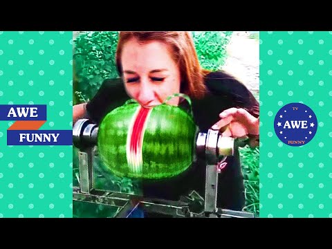 Vídeos engraçados e fofos 2023 🤣 Melhores pessoas fazendo coisas engraçadas P13😺😍