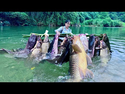 Traditional Fishing Skills - Single Mother Catches Giant Fish with Bamboo