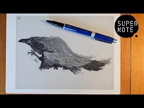 An Illustrator tries the Supernote Manta