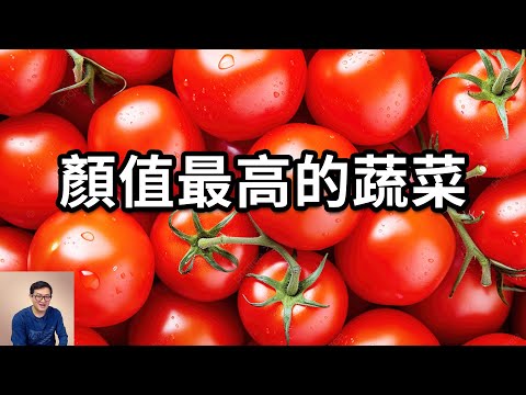 為什麼紅得很完美的番茄反而要警惕？高顏值是要付出代價的！聖女果是現代番茄的祖先嗎？番茄日常保存一定要注意這個……【老肉雜談】#生物 #植物 #水果 #蔬菜 #番茄