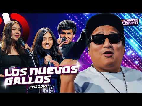 LOS NUEVOS GALLOS | CONCIERTO TALENTO