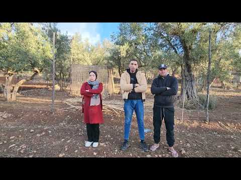 2025/12/14: 2قطع مساحتهما330م بثمن8000درهم و800م بها7زيتونات ثمن مليون و40الف ريال الهاتف:0652389719