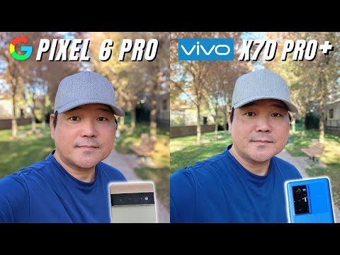 Google Pixel 6 Pro vs Vivo X70 Pro+ Camera Comparison | Best smartphone cameras of 2021?