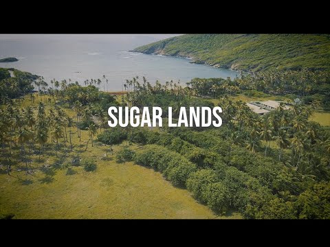 Colonial History of St. Vincent and the Grenadines 🇻🇨  - SUGAR LANDS