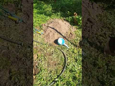 абиссинская скважина