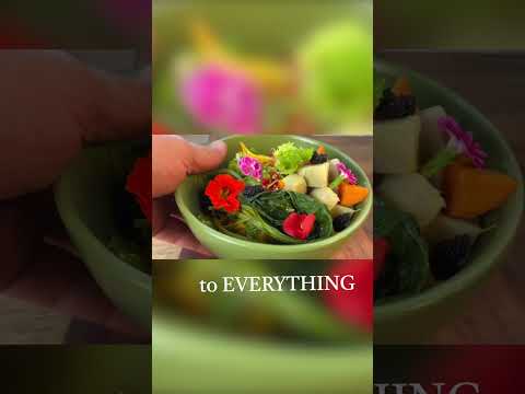 From Camera to Compost: The Weedy Photographer 🌱📸