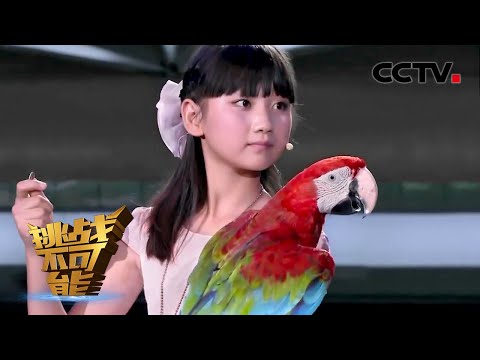 #挑战不可能 听音识途 鹦鹉能否追寻哨声找到小主人 | 挑战不可能第一季