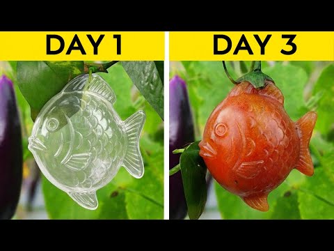 Grow Exotic Fruits and Veggies in Your Own Garden! 🌿🍏