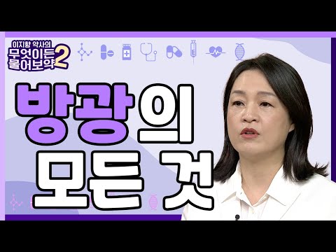 방광 건강 지키기, 방광의 모든 것 [이지향약사의 무엇이든 물어보藥 2 21회]