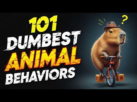 101 Dumbest Animal Behaviors That Are Straight Up Embarrassing