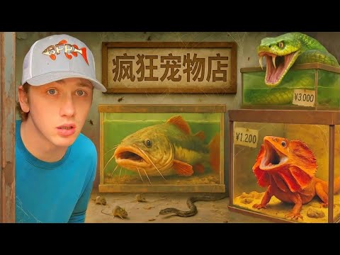 偶然发现一家被遗弃的宠物店!