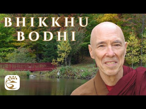Reconciliation & Liberation: Theravāda & Mahāyāna; Gradual & Sudden; EBT & Later | Bhikkhu Bodhi Q&A