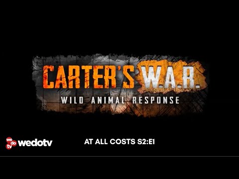 At All Costs | Carter's W.A.R. S2/E1 | wedotv