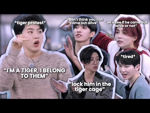 seventeen vs horanghae