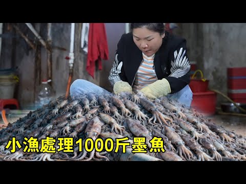 1000斤墨魚曬陽光,濃縮成精華,小漁煲湯饞壞眾人【漁小仙】
