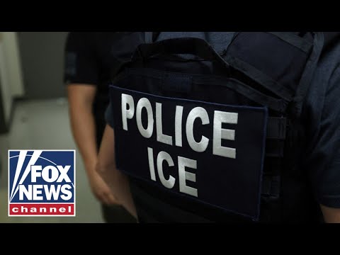 NEW: ICE faces MASSIVE overhaul to ramp up deportations